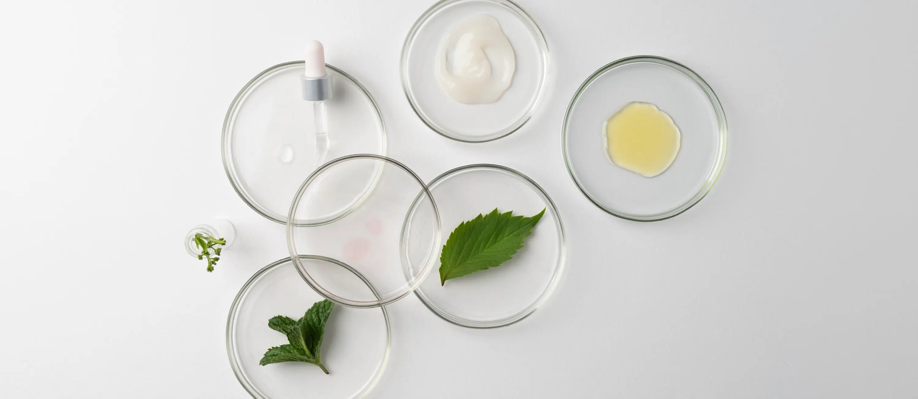 Centella for Calm: Building Resilient Skin Against Pollen