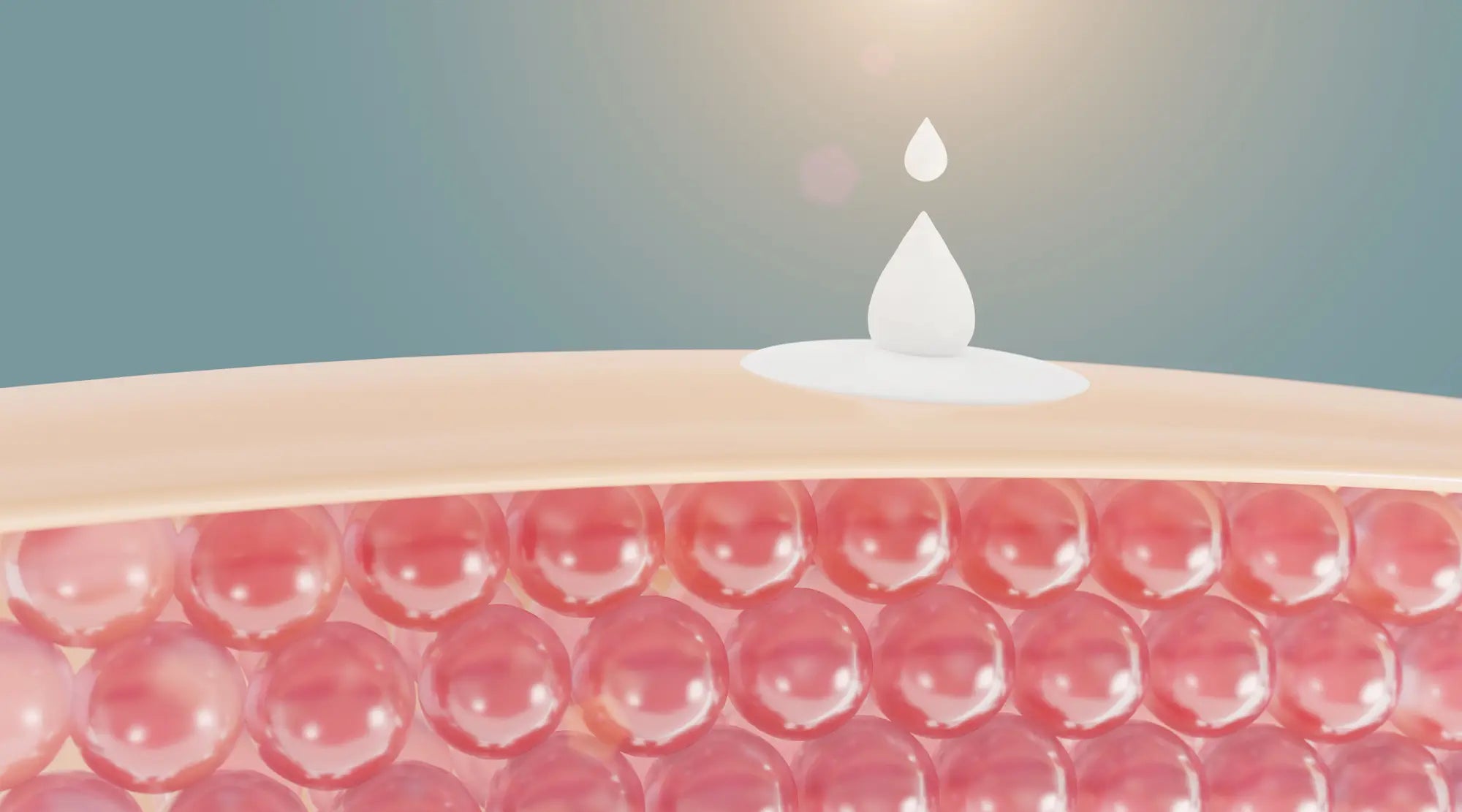 Understanding Your Skin Barrier: A Wellness Approach Blog Post Hero Image